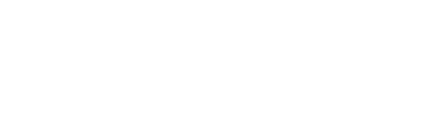 Phronesis Engineering